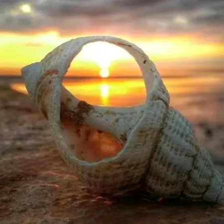 Апартаменты Casa Mare